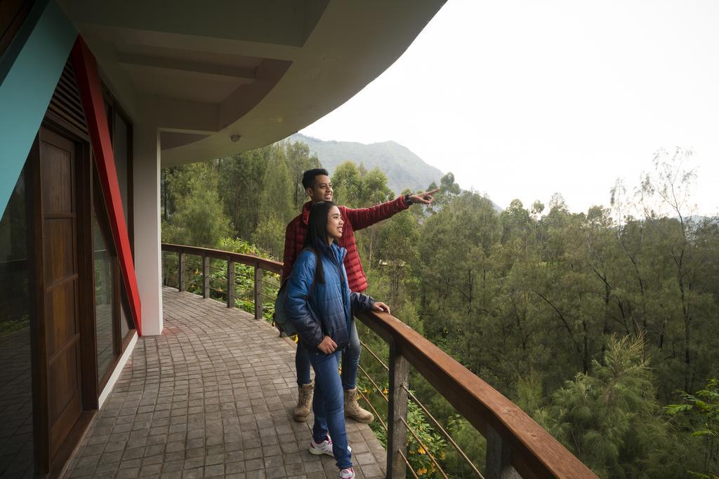 Pagupon Bromo Budget Lodge Exterior foto