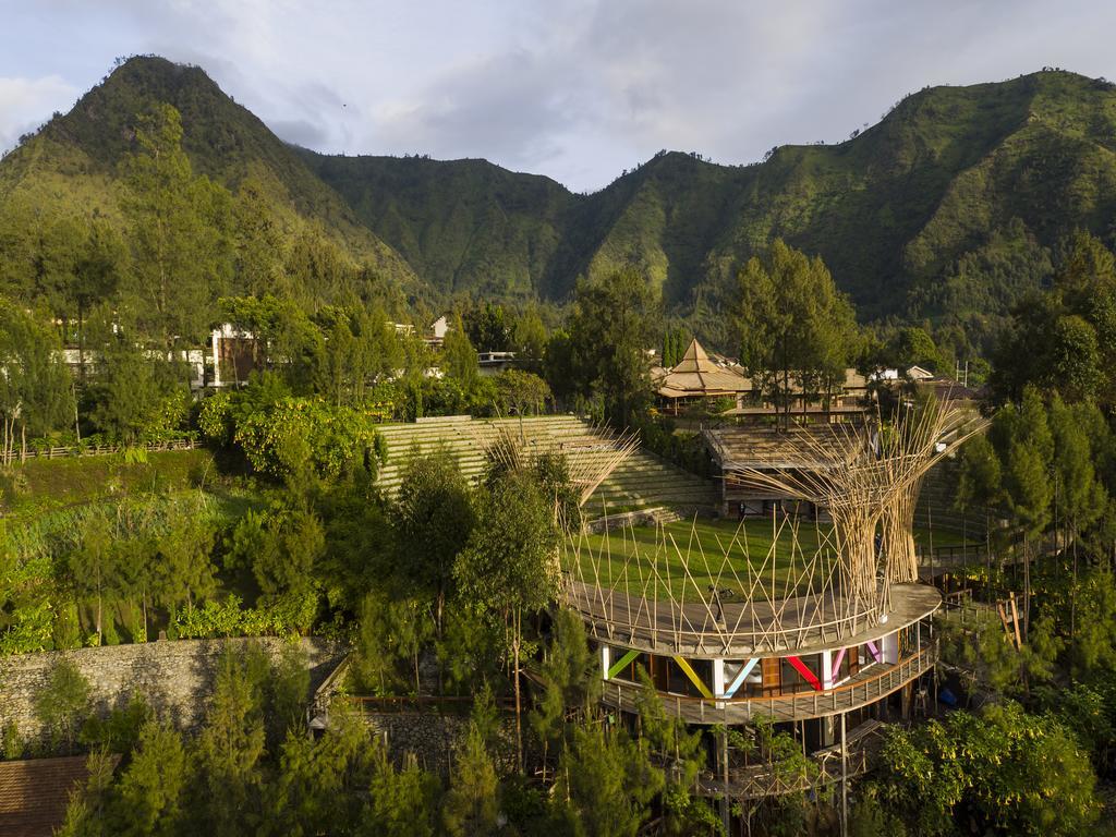 Pagupon Bromo Budget Lodge Exterior foto
